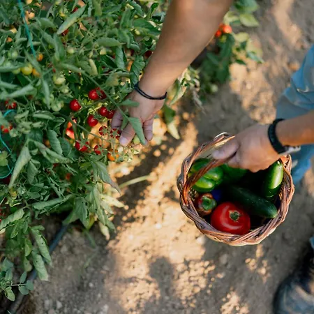 Mirafysee Farm Argoliko